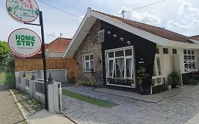 The Bloomy House